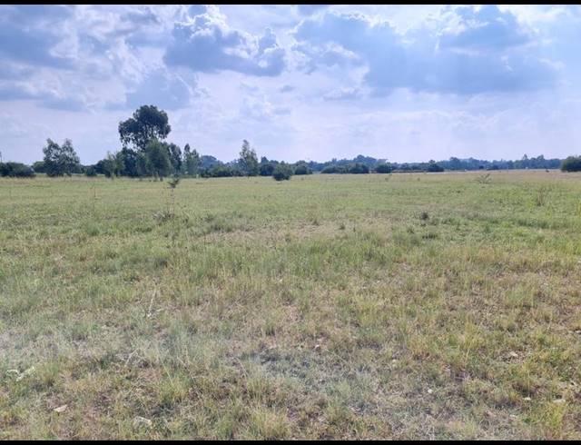 LAND FOR SALE IN RIVERSDALE